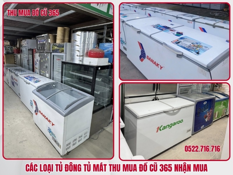 Danh sách các loại tủ đông tủ mát Thu Mua Đồ Cũ 365 nhận mua
