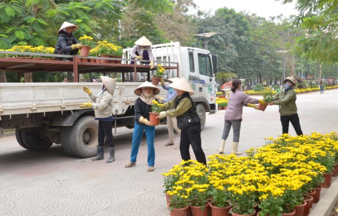 Dịch vụ vận chuyển hoa tươi đi xa